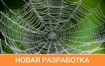 Петербургские ученые создали из паутины материал для наложения швов после операций